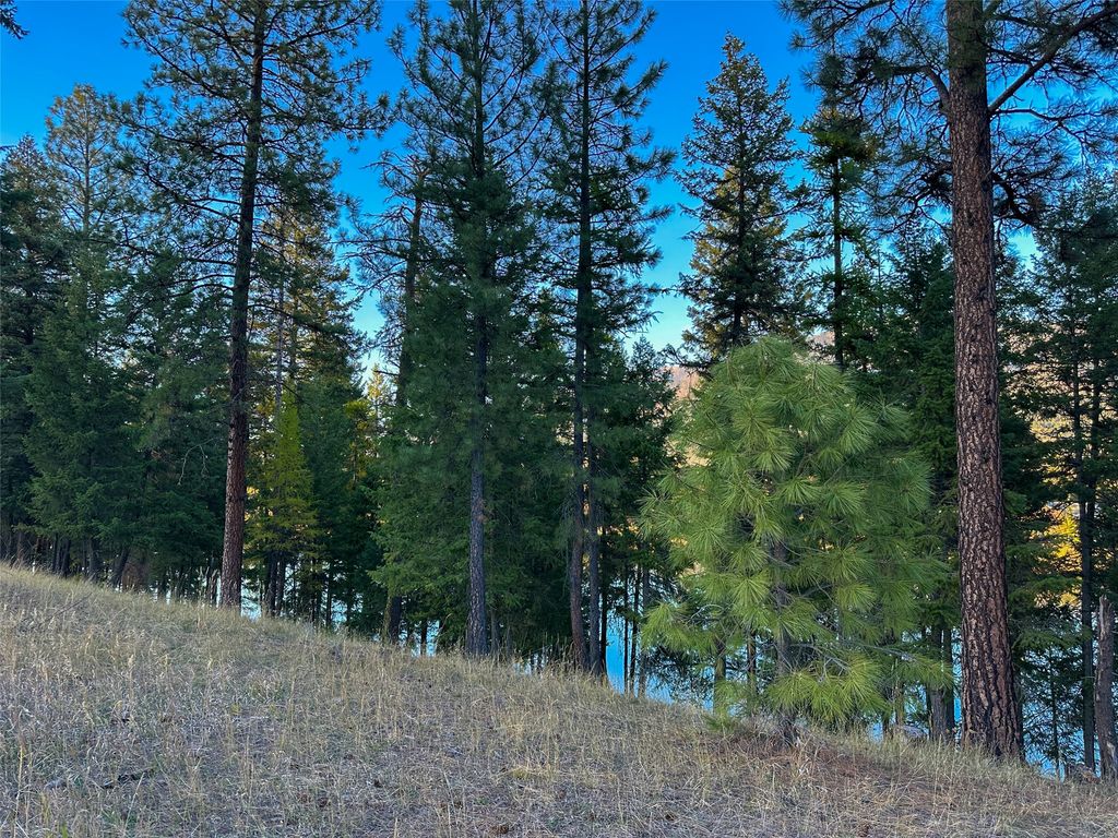 NHN Old Barn Lane, Thompson Falls, MT 59873 photo 4