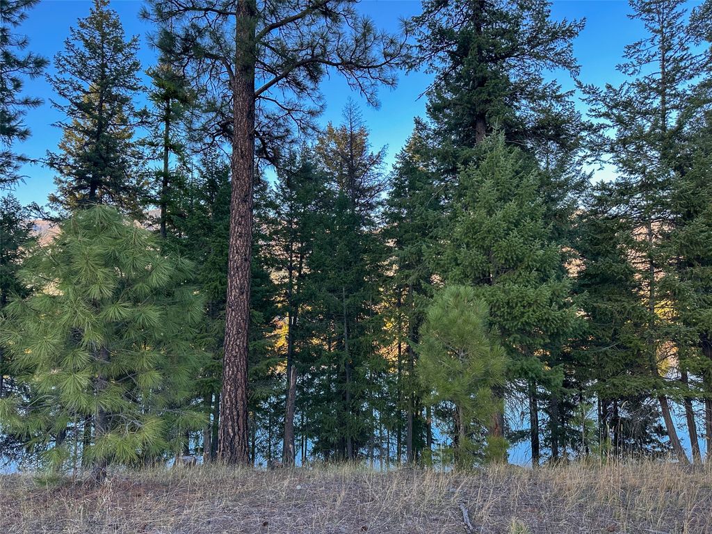 NHN Old Barn Lane, Thompson Falls, MT 59873 photo 5