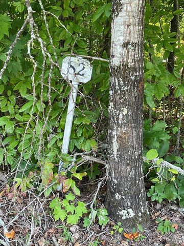81A-82A Licklog Ridge, Hayesville, NC 28904