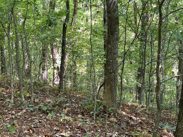 81A-82A Licklog Ridge, Hayesville, NC 28904