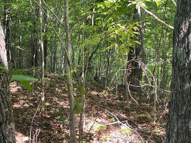 81A-82A Licklog Ridge, Hayesville, NC 28904