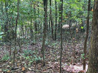 81A-82A Licklog Ridge, Hayesville, NC 28904