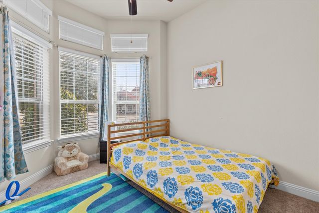 10611 Ferdinand View, Frisco, TX 75035