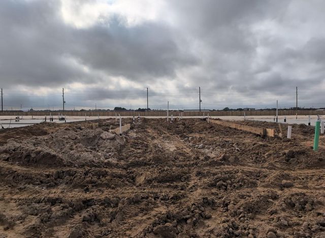 26239 Venus Trap Trail, Katy, TX 77493