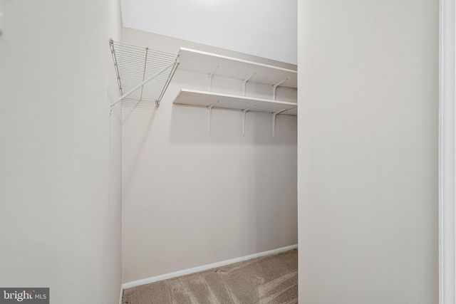 9920 OAKDALE WOODS CT, Vienna, VA 22181