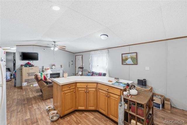 10501 E Patience Lane, Inverness, FL 34450