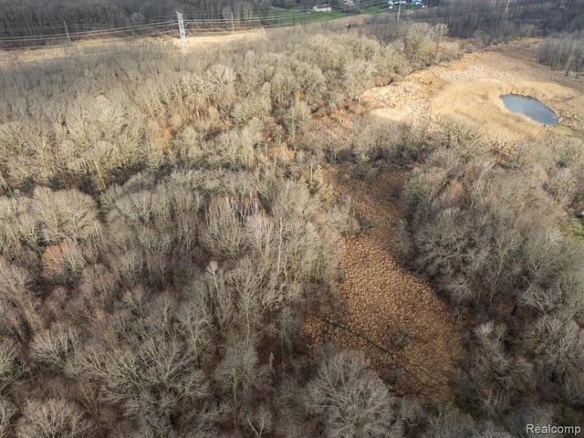 VL Pingree Road, Howell, MI 48843