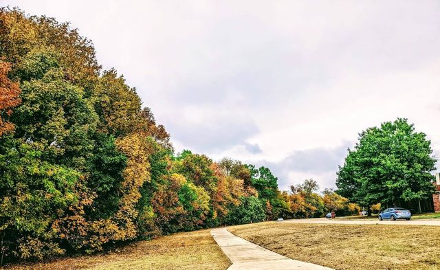 1307 Heather Brook Drive, Allen, TX 75002