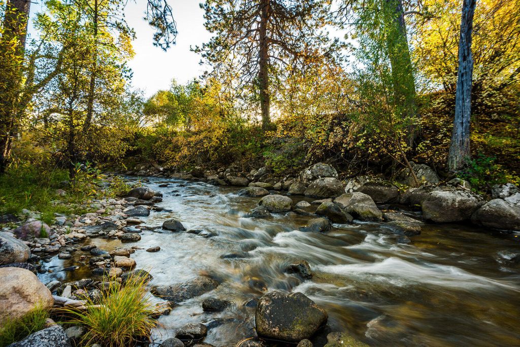 373 St Hwy 193, Banner, WY 82832 photo 6