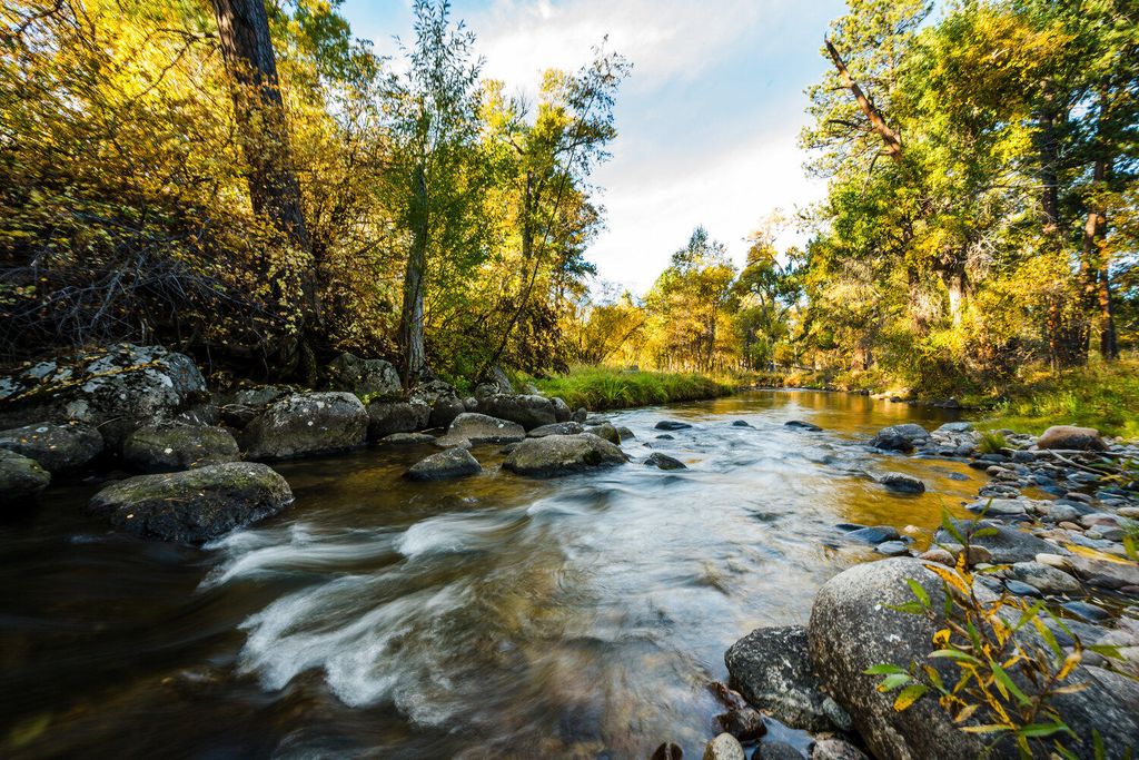 373 St Hwy 193, Banner, WY 82832 photo 73