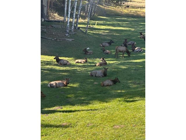 4112 Timbervale Dr, Evergreen, CO 80439