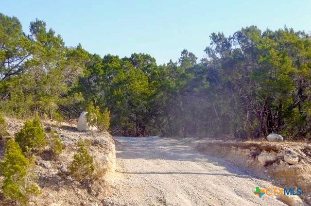 911 Flaman Road, Canyon Lake, TX 78133