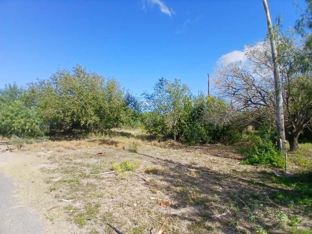 5410 Victory Avenue, Edinburg, TX 78542