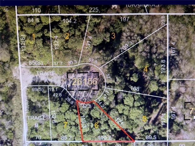 1298 ALMARIA COURT, Palm Harbor, FL 34683