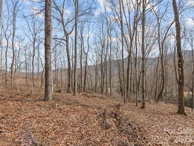 0 Barn View Lane, Waynesville, NC 28785