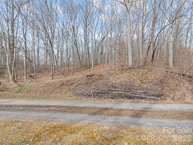 0 Barn View Lane, Waynesville, NC 28785