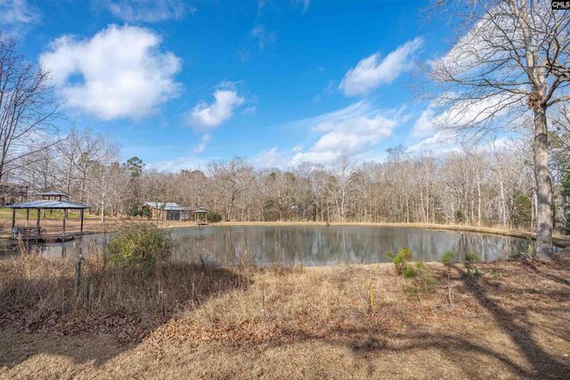 632 Sandbar Road, Chapin, SC 29036