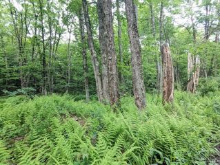 5 Rose Bud, Florence, NY 13316