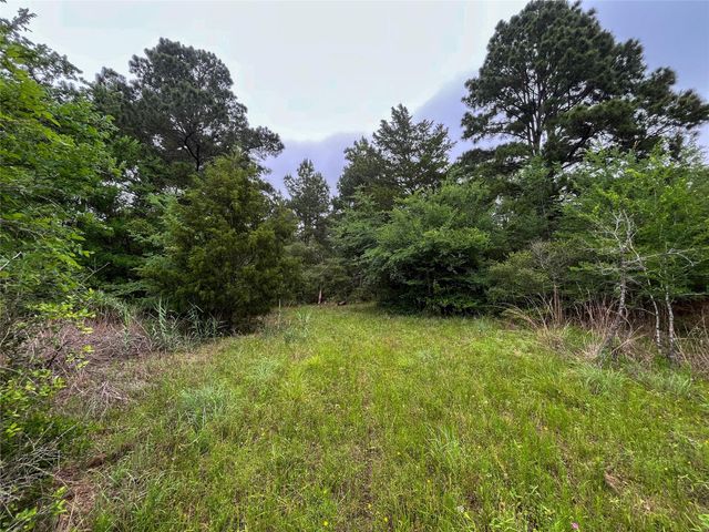 8 Ranchero Road, College Station, TX 77845