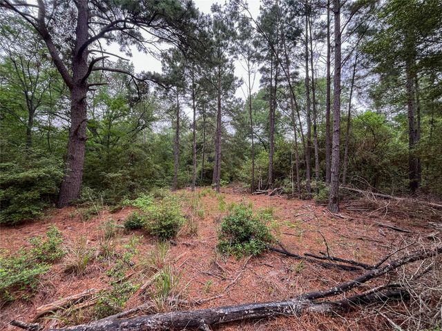 8 Ranchero Road, College Station, TX 77845