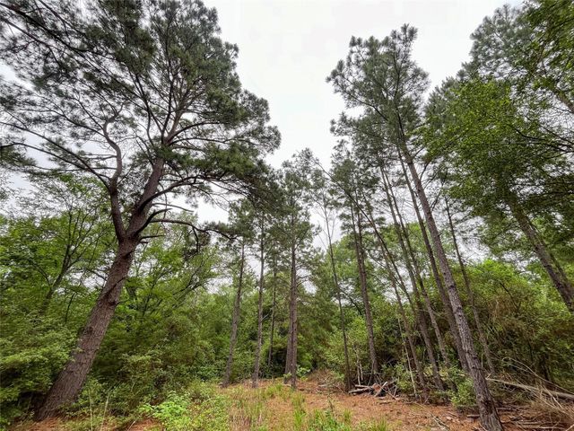 8 Ranchero Road, College Station, TX 77845