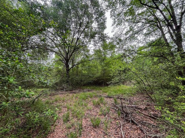 8 Ranchero Road, College Station, TX 77845