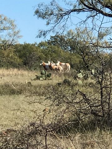 1681 FM574 Highway, Goldthwaite, TX 76864