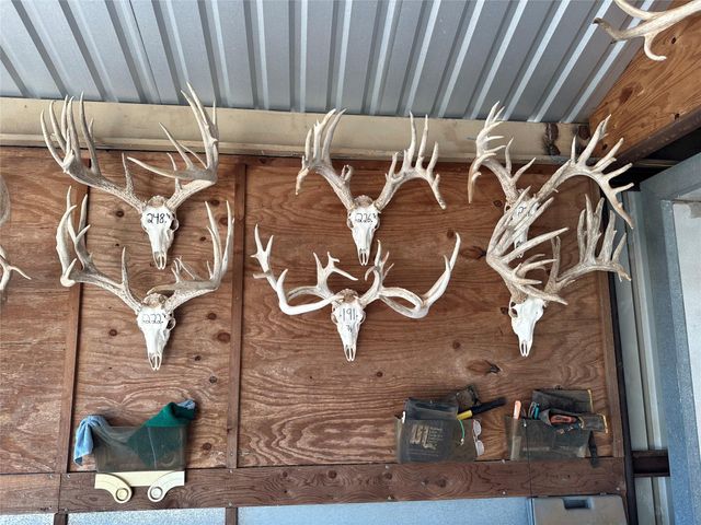 1681 FM574 Highway, Goldthwaite, TX 76864