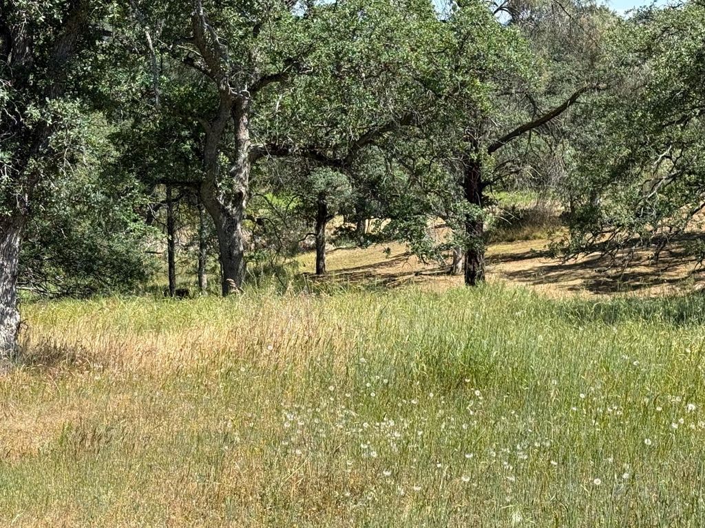 Image 1 of property listing at 16 Horseshoe, Coarsegold, CA 93614