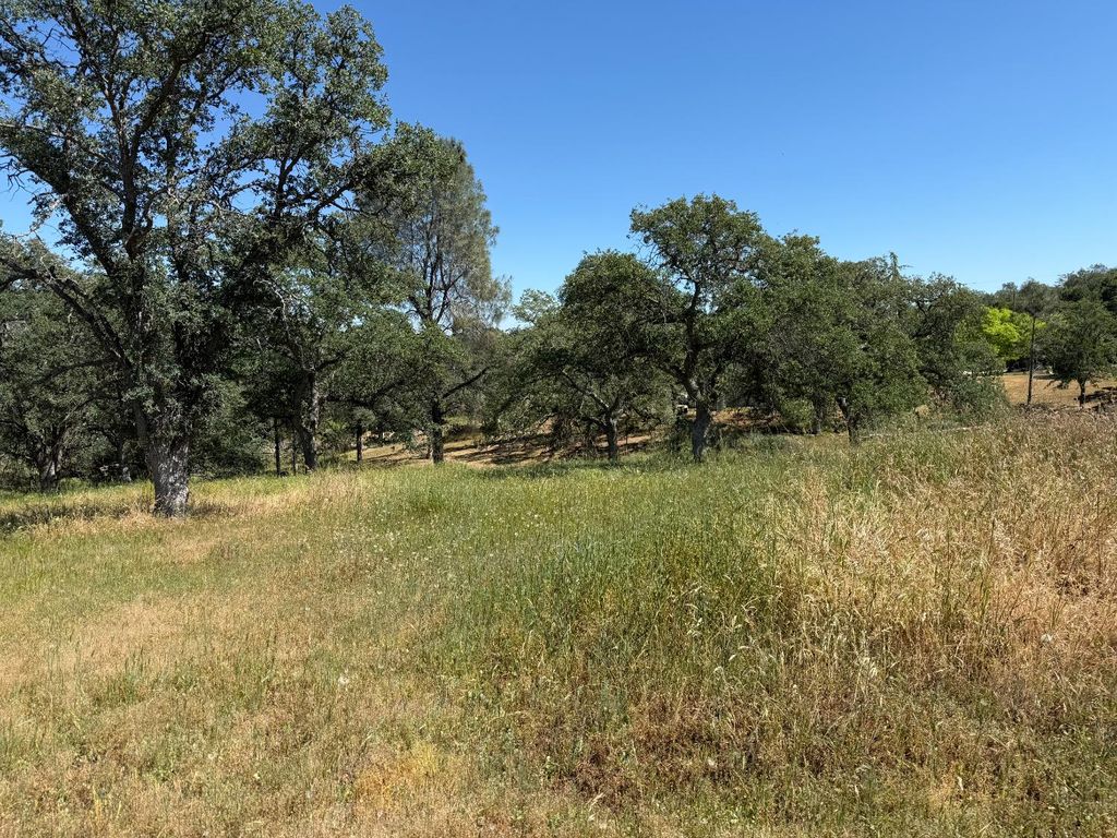 Image 2 of property listing at 16 Horseshoe, Coarsegold, CA 93614