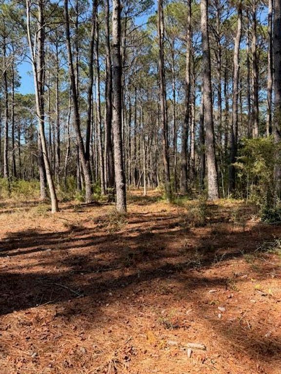 Image 4 of property listing at 4131 Betsy Kerrison Parkway, Johns Island, SC 29455