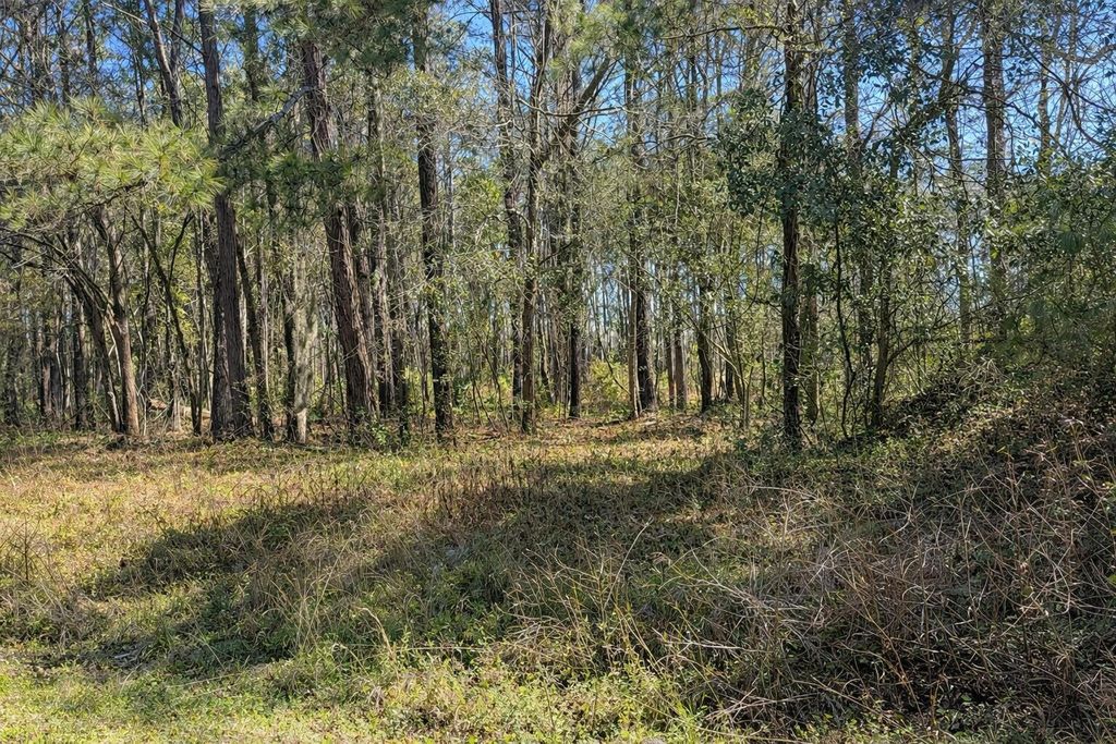 Image 6 of property listing at 4131 Betsy Kerrison Parkway, Johns Island, SC 29455