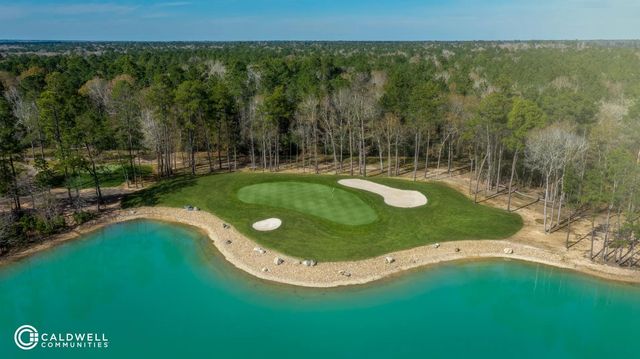 7911 Coastal Prairie Drive, Porter, TX 77365