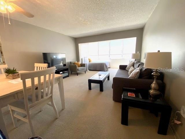 4575 COVE CIR 505, St Petersburg, FL 33708