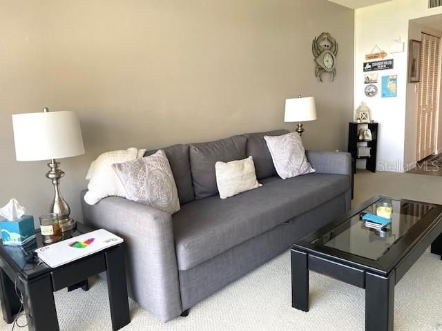 4575 COVE CIR 505, St Petersburg, FL 33708