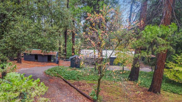 19159 Allan Rd, Volcano, CA 95689