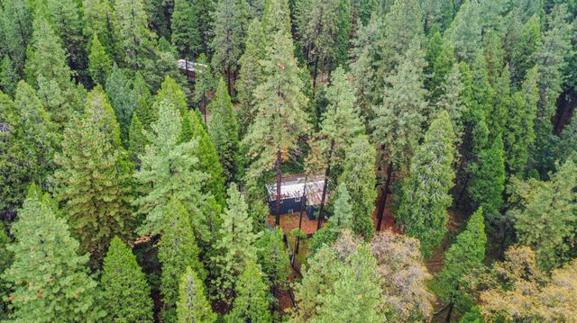 19159 Allan Rd, Volcano, CA 95689