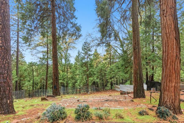 19159 Allan Rd, Volcano, CA 95689
