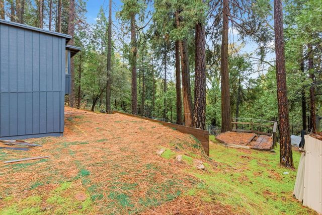 19159 Allan Rd, Volcano, CA 95689