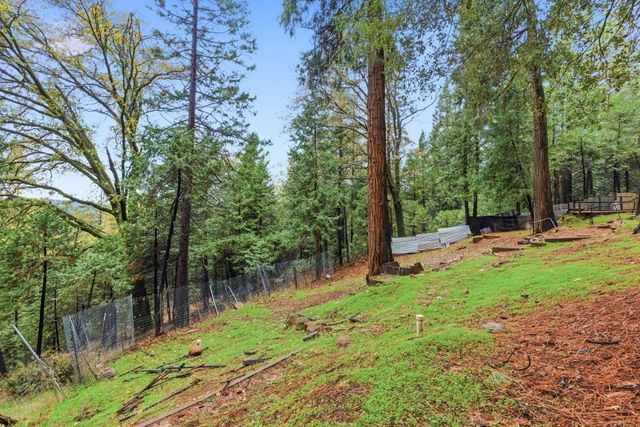 19159 Allan Rd, Volcano, CA 95689