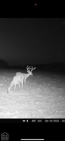 1 Clay 457 Road, Pollard, AR 72456