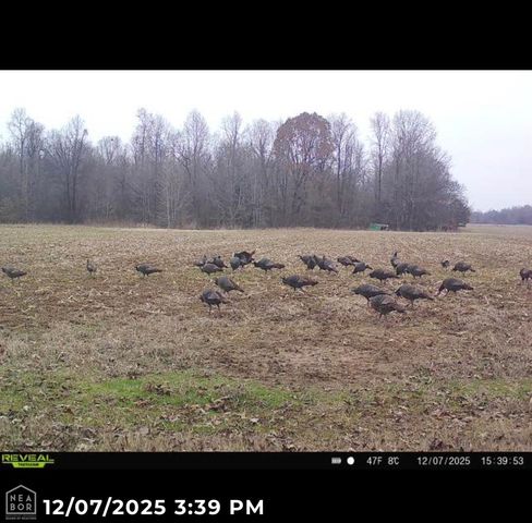 1 Clay 457 Road, Pollard, AR 72456