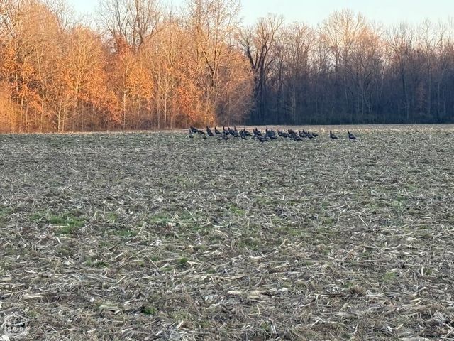 1 Clay 457 Road, Pollard, AR 72456