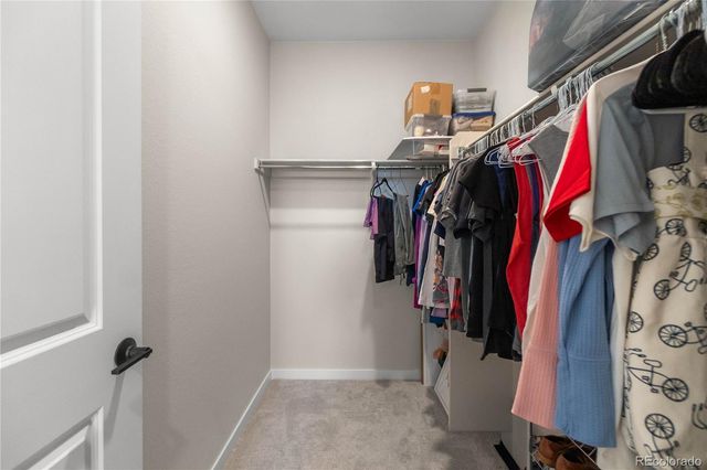 8484 Orchard City Drive, Littleton, CO 80125