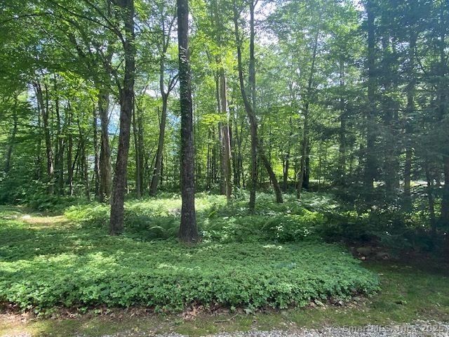 129 Forge Drive, Avon, CT 06001