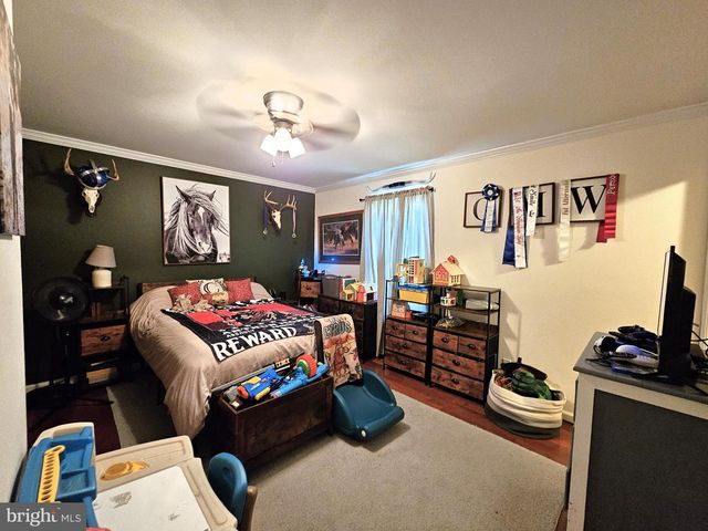 336 BLANKENBAKER RD, Madison, VA 22727