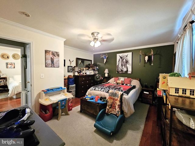 336 BLANKENBAKER RD, Madison, VA 22727