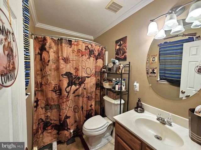 336 BLANKENBAKER RD, Madison, VA 22727