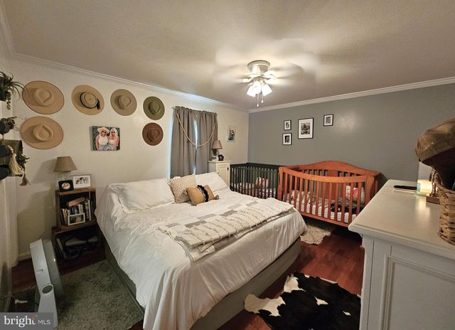 336 BLANKENBAKER RD, Madison, VA 22727