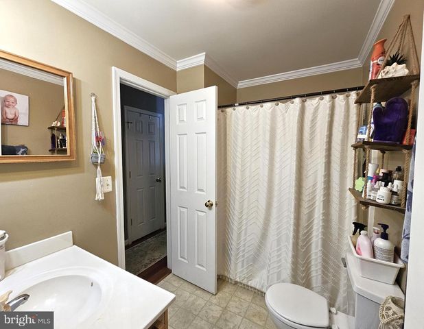 336 BLANKENBAKER RD, Madison, VA 22727